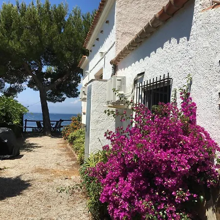 Petit Paradis * Roses