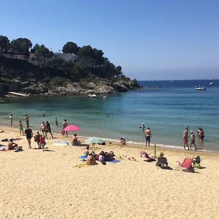 Petit Paradis *